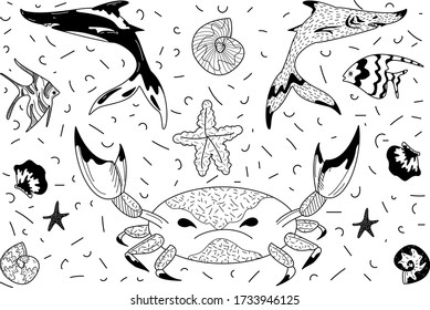 Deep-sea fish, crab and starfish