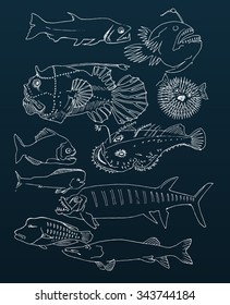 deep-sea fish. hand drawn