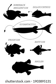 Deep-sea Fish (order Lophiiformes) With Text Names. Black Silhouette Vector Image Set.