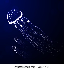deepwater jellyfish vector