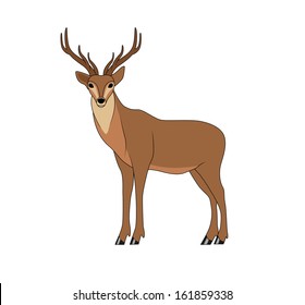 deer