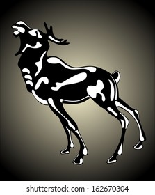 deer 