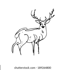 deer