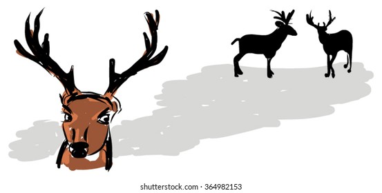 Deer