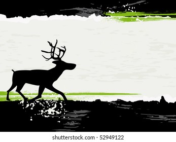 deer