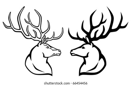 deer