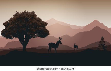 Deer against the background of the mountains at sunset