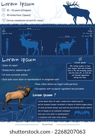 Deer anatomy. 
Diagram showing parts of an elk.
infographic about elk identification, facts and description.
Can be used for topics like biology, zoology, poster.