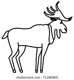 Deer animal cartoon
