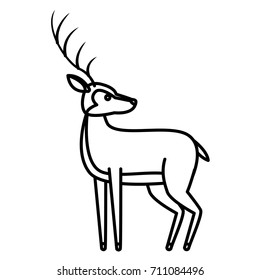 Deer animal cartoon