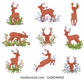 Deer Animal in Different Poses with Floral Elements Behind Vector Illustration