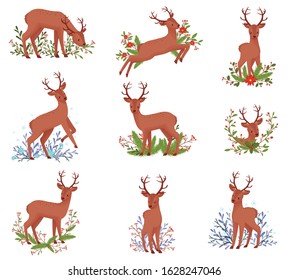 Deer Animal in Different Poses with Floral Elements Behind Vector Illustration