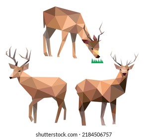 Deer Animal Set in low poly polygonal. Deer Icon in abstract set. Vector of Deer collection