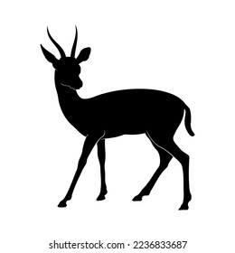 Deer animal silhouette on white background