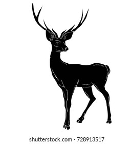 deer animal, vector, illustration