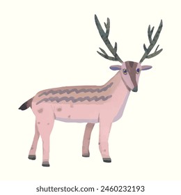  Deer. animal wildlife. watercolor vector illustration.