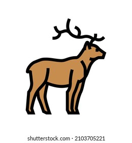 deer animal in zoo color icon vector. deer animal in zoo sign. isolated symbol illustration