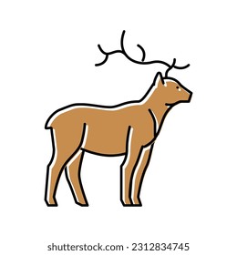 deer animal in zoo color icon vector. deer animal in zoo sign. isolated symbol illustration