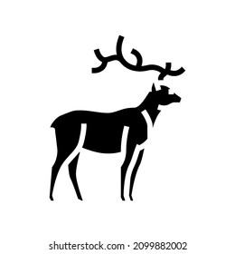 deer animal in zoo glyph icon vector. deer animal in zoo sign. isolated contour symbol black illustration