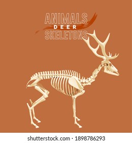 Deer Animals Skeletons in orange backgroung- Vector