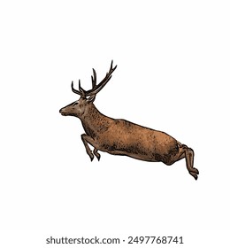 Deer animals vektor ilustration isolated design template mascot logo or icon 