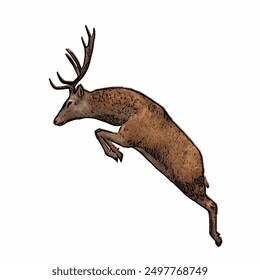Deer animals vektor ilustration isolated design template mascot logo or icon 