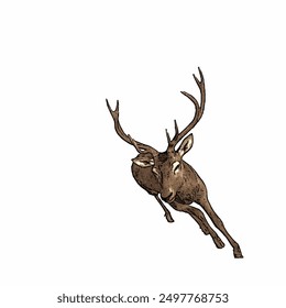 Deer animals vektor ilustration isolated design template mascot logo or icon 