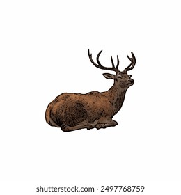 Deer animals vektor ilustration isolated design template mascot logo or icon 