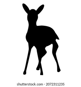 deer animals wild life nature