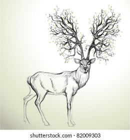 Deer With Antler Like Tree / Realistic Sketch