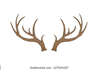 deer antler vector hand drawn