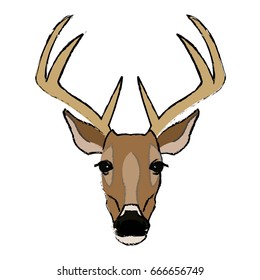 deer antlers animal wildlife image
