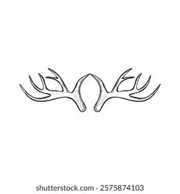 deer antlers, deer antler vector logo design, animal, deer, vintage, animal, deer, antler, nature, wild, wildlife, isolated, stag, horn, forest, mammal, graphic, buck, elk, reindeer, vector, art, back