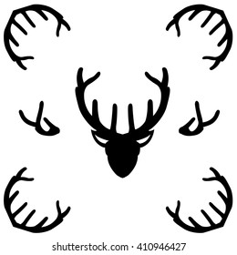 Deer antlers head isolated