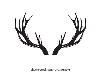 Deer antlers or horns vector illustration.