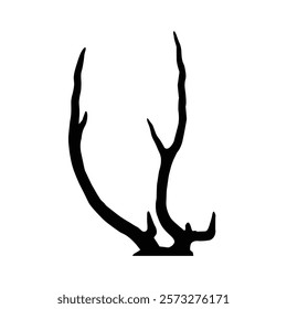 Deer antlers isolated on a white background vector, symbolizing wilderness, nature, and hunting. Ideal for logo designs, wildlife art, rustic decor, and vector graphic inspirations. Deer horn vector.