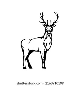 Deer with antlers, mammal, wild animal, wildlife, vector, illustration in black and white color, isolated on white background