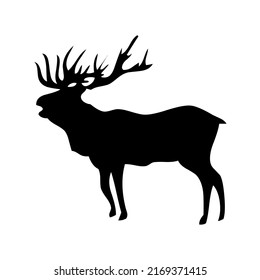 Deer with antlers, mammal, wild animal, wildlife, vector, illustration in black color, isolated on white background