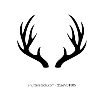 Deer antlers, mammal, wild animal, wildlife, vector, illustration in black color, isolated on white background