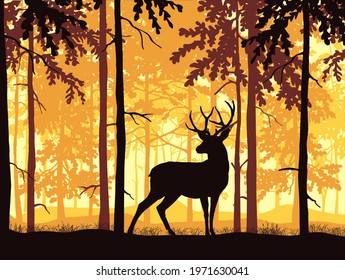 Deer with antlers posing, forest background, silhouettes of trees. Magical misty landscape. Brown, orange and yellow illustration. 