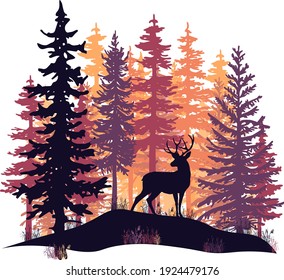 Deer with antlers posing on the hill covered with grass. Orange, violet and pink coniferous trees.