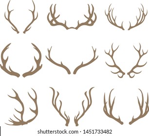deer antlers set vector illustration