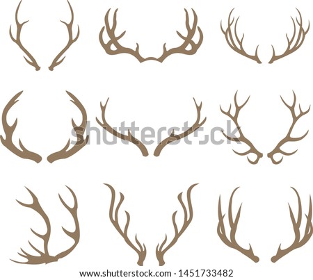 deer antlers set vector illustration