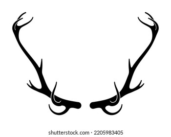 Deer antlers vector. Hand drawn silhouettes of hunting trophies. Silhouette of the horns of a wild elk, roe deer on a white background. 
