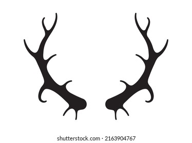 Deer antlers vector. Silhouette of the horns of a wild elk, roe deer on a white background. Hand drawn silhouettes of hunting trophies.