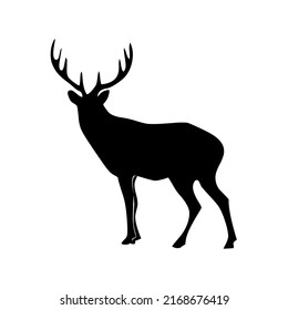 Deer with antlers, wild animal, wildlife, vector, illustration in black color, isolated on white background