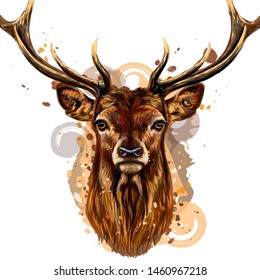 
Deer. Artistic, colored, hand-drawn portrait of a deer's head on a white background with splashes of watercolor.