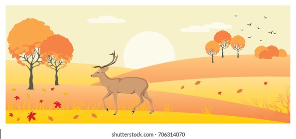 Deer in autumn forest, vector illustration.