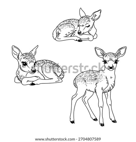 Deer baby. Vector hand drawn illustration on white background