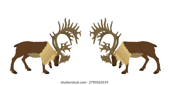 Deer battle vector illustration isolated on white background. Reindeer powerful buck with huge antlers. Rein deer fighting for female. Struggle in forest. Zoo animal nature. Christmas holiday symbol.
